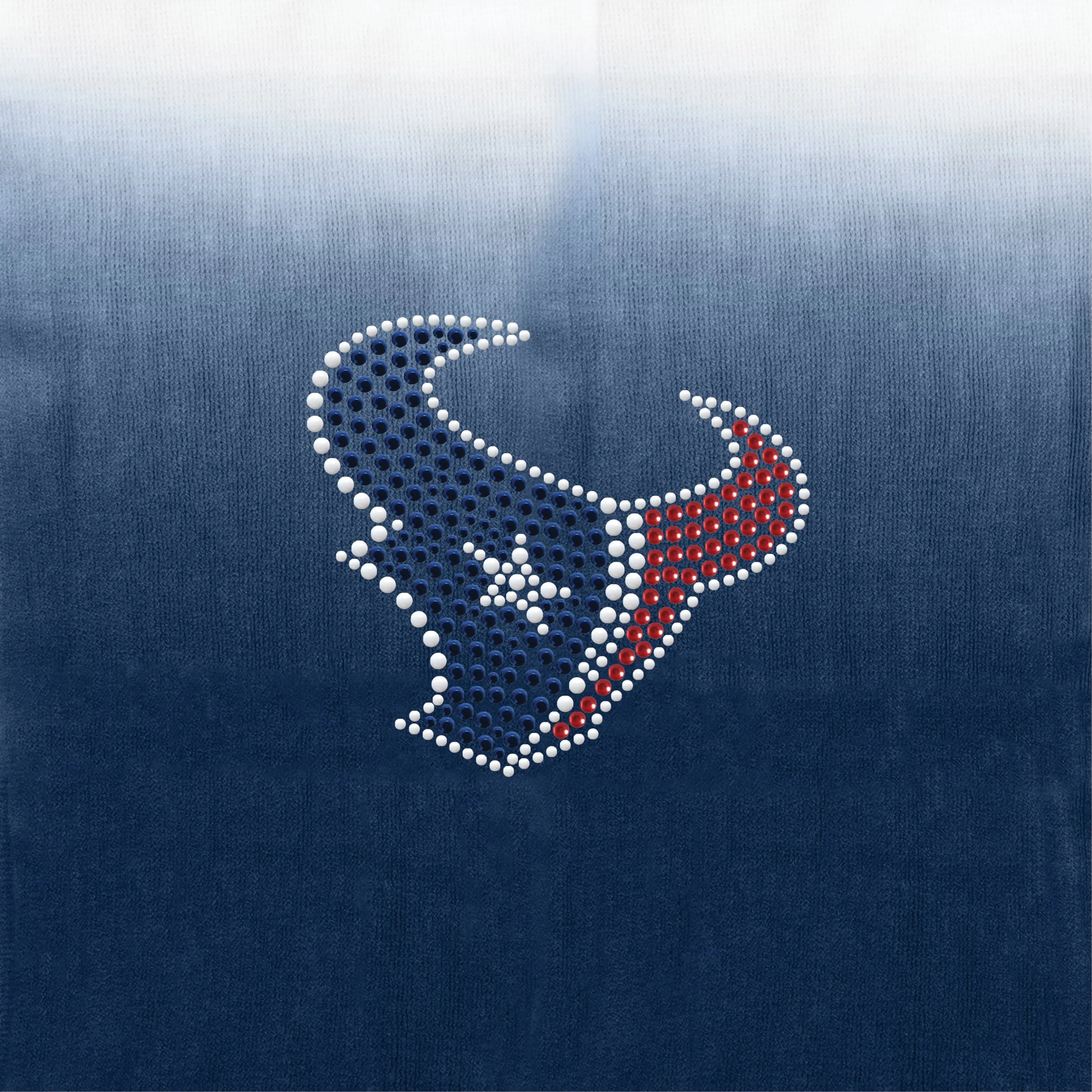 Houston Texans Dip Dye Poncho